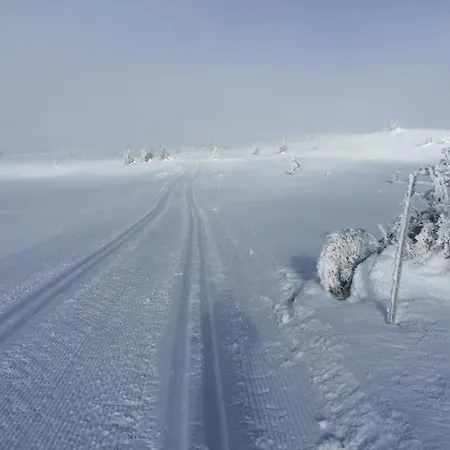 Apartament I Torberget