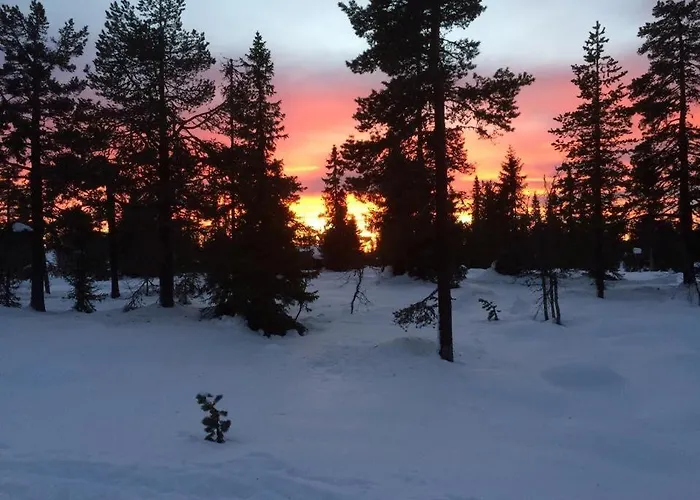 I * Torberget