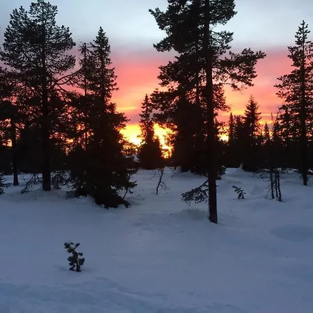 I * Tørberget